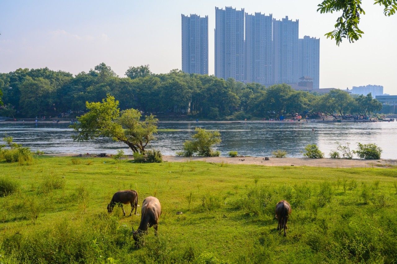 WeChat 圖片_20210515102005