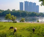 WeChat 圖片_20210515102005