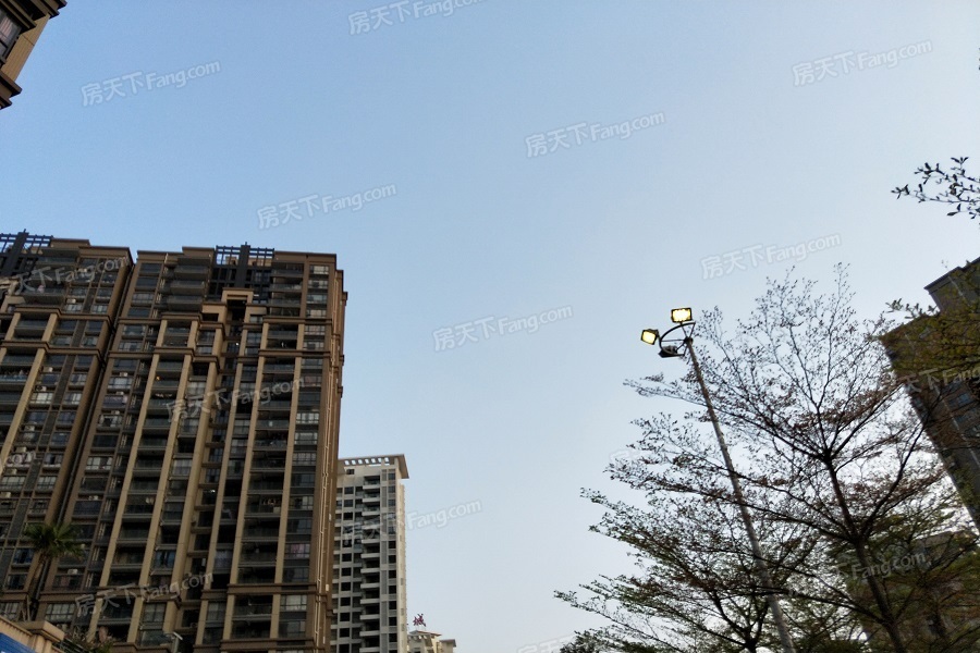 --请选择--