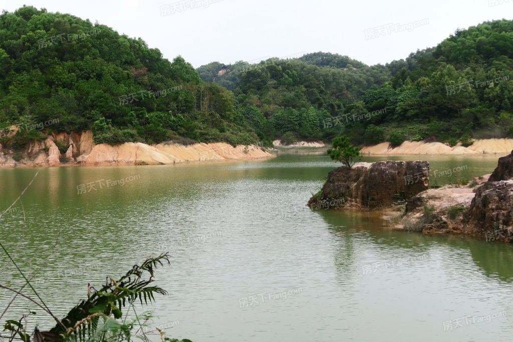 --请选择--