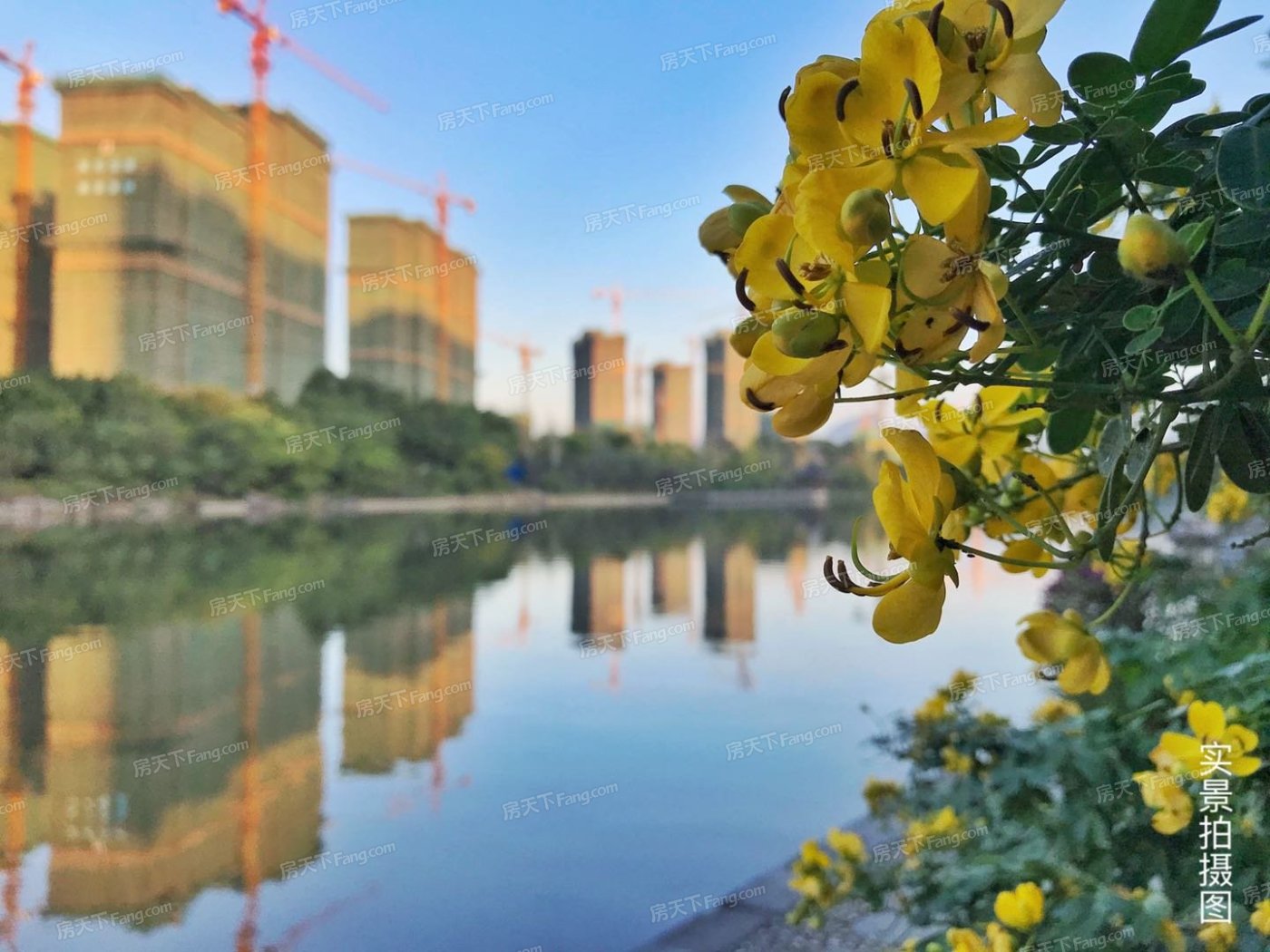 --请选择--