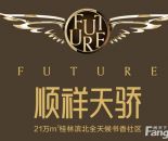 --请选择--